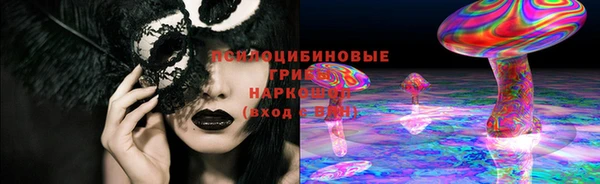 дмт Новозыбков