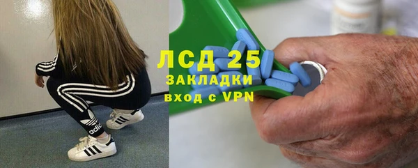 ГАЛЛЮЦИНОГЕННЫЕ ГРИБЫ Алзамай