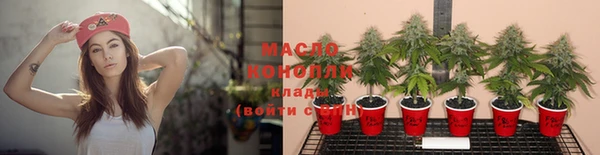 ГАЛЛЮЦИНОГЕННЫЕ ГРИБЫ Алзамай