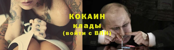ГАЛЛЮЦИНОГЕННЫЕ ГРИБЫ Алзамай