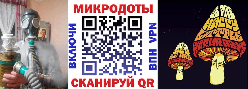 Псилоцибиновые грибы Psilocybine cubensis продажа наркотиков Грязи